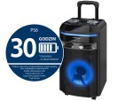 Głośnik Blaupunkt PS6