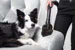 Odkurzacz bezworkowy Concept VP5150 FURIOUS Home&Pet
